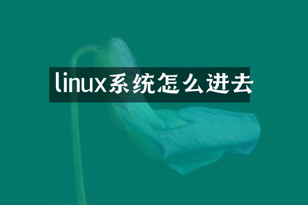 linux系统怎么进去