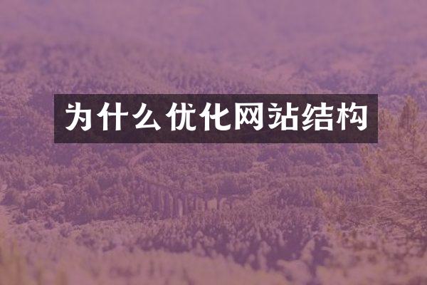 为什么优化网站结构