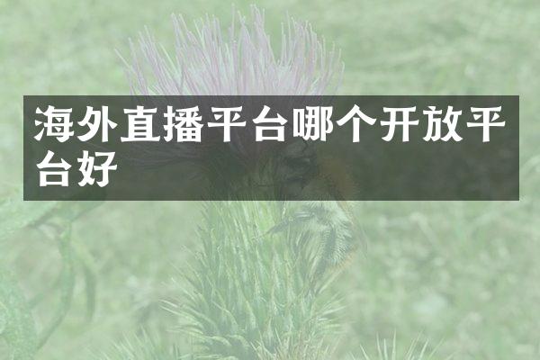 海外直播平台哪个开放平台好