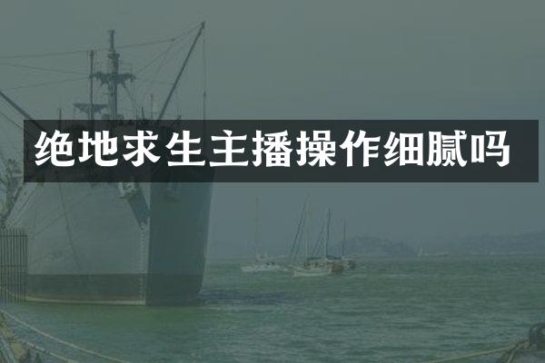 绝地求生主播操作细腻吗