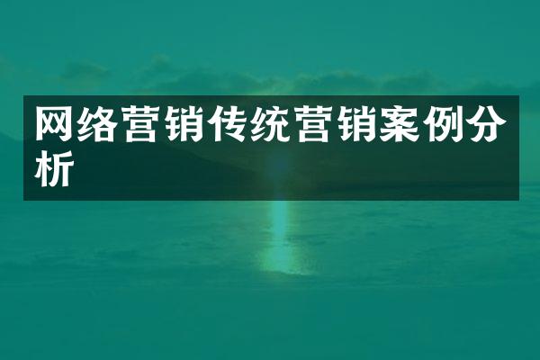 网络营销传统营销案例分析