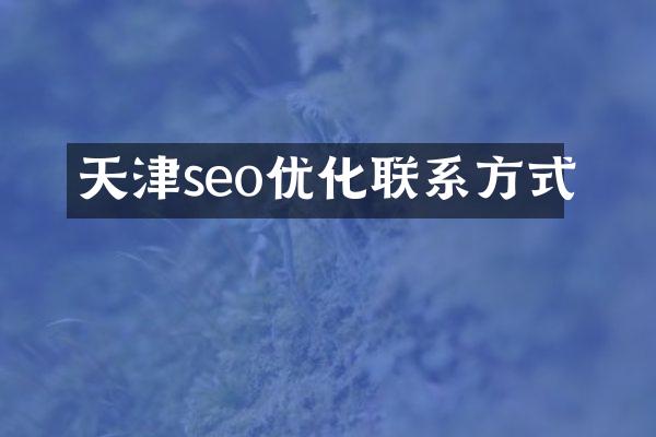 天津seo优化联系方式