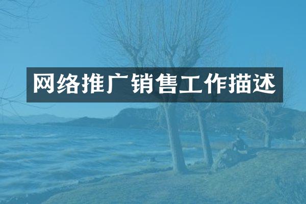 网络推广销售工作描述
