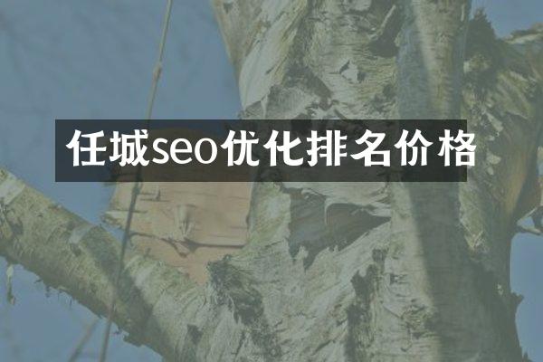任城seo优化排名价格