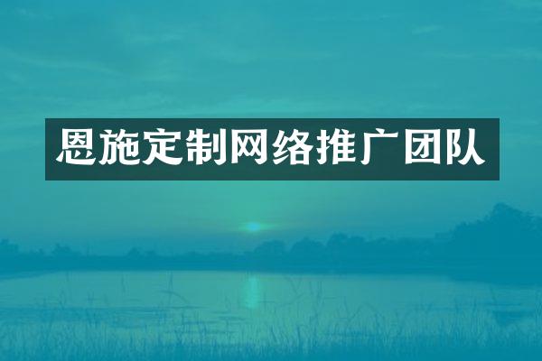 恩施定制网络推广团队