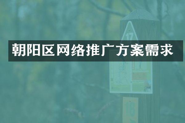 朝阳区网络推广方案需求