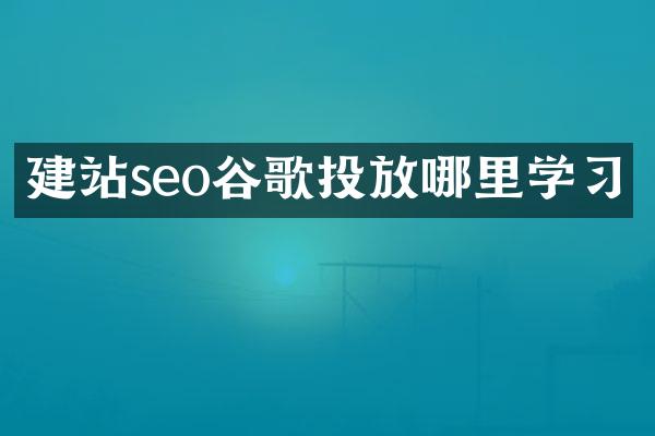 建站seo谷歌投放哪里学习