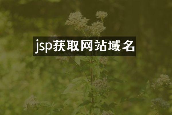 jsp获取网站域名