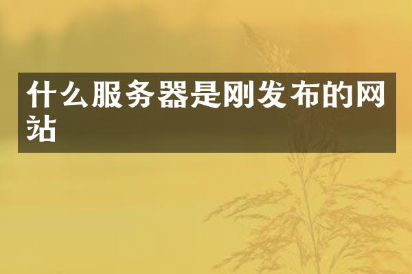 什么服务器是刚发布的网站