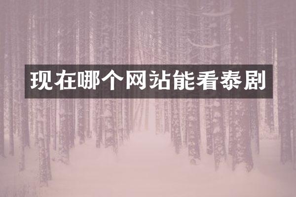 现在哪个网站能看泰剧