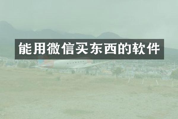 能用微信买东西的软件
