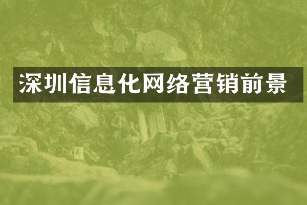 深圳信息化网络营销前景