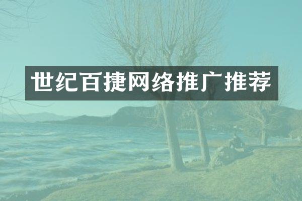 世纪百捷网络推广推荐