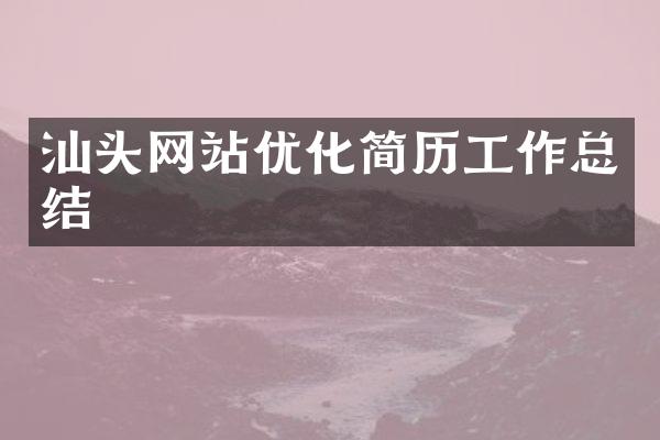 汕头网站优化简历工作总结