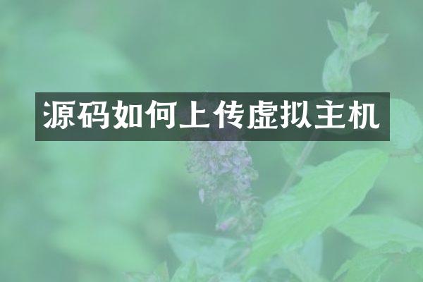 源码如何上传虚拟主机