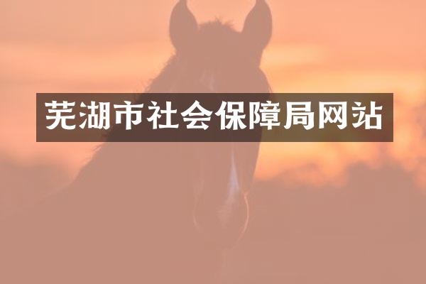 芜湖市社会保障局网站
