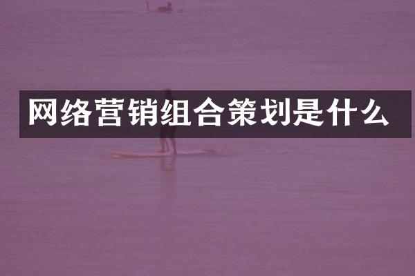网络营销组合策划是什么