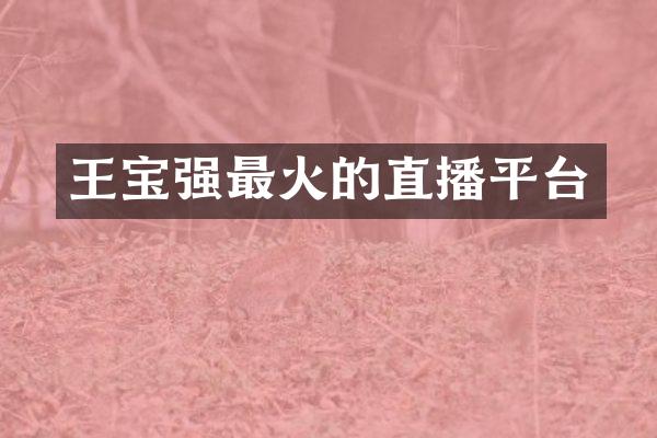 王宝强最火的直播平台