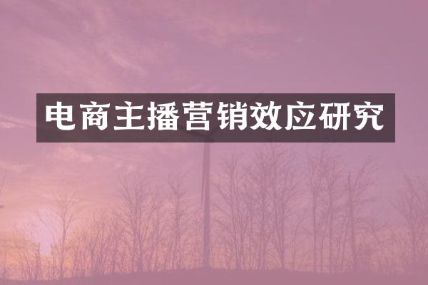电商主播营销效应研究