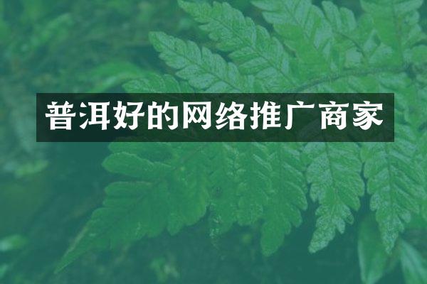 普洱好的网络推广商家