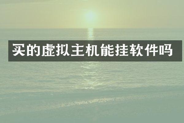 买的虚拟主机能挂软件吗