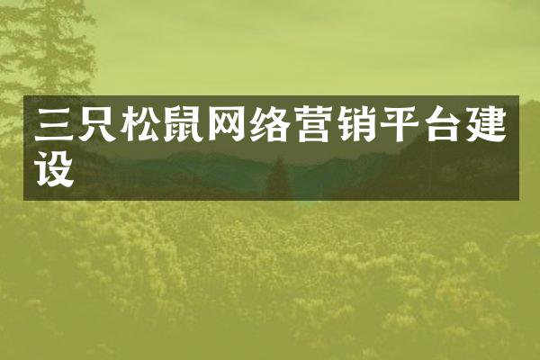 三只松鼠网络营销平台建设