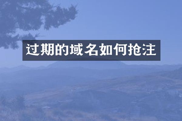 过期的域名如何抢注