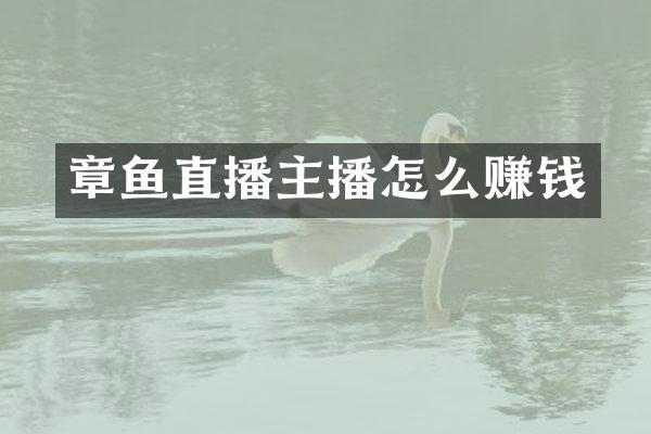 章鱼直播主播怎么赚钱