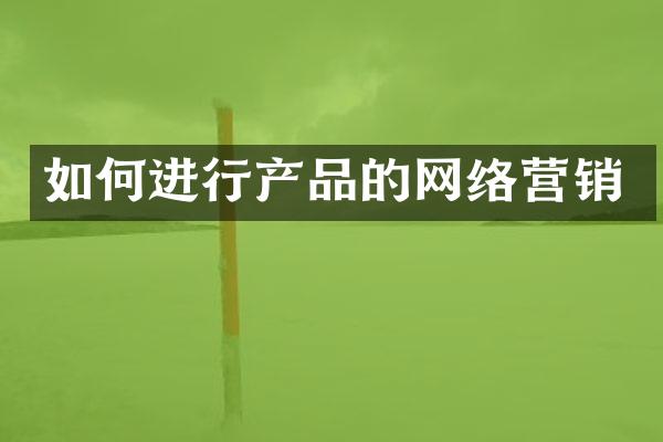 如何进行产品的网络营销