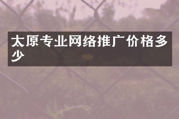 太原专业网络推广价格多少
