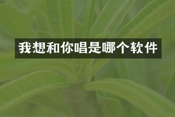 我想和你唱是哪个软件