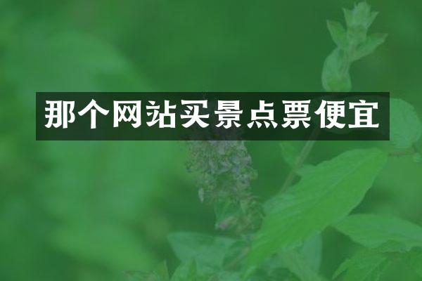 那个网站买景点票便宜