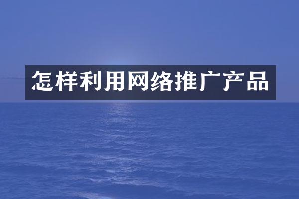怎样利用网络推广产品