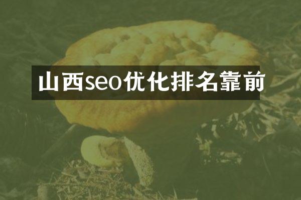 山西seo优化排名靠前
