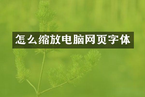 怎么缩放电脑网页字体