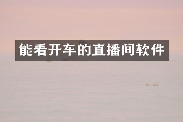 能看开车的直播间软件