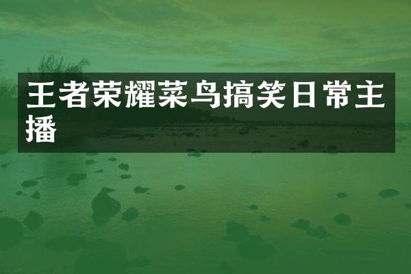 王者荣耀菜鸟搞笑日常主播