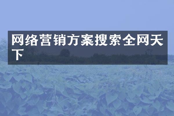 网络营销方案搜索全网天下