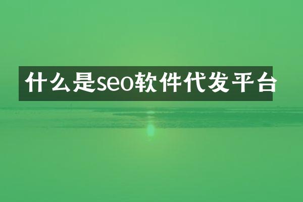 什么是seo软件代发平台