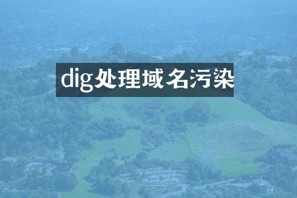 dig处理域名污染