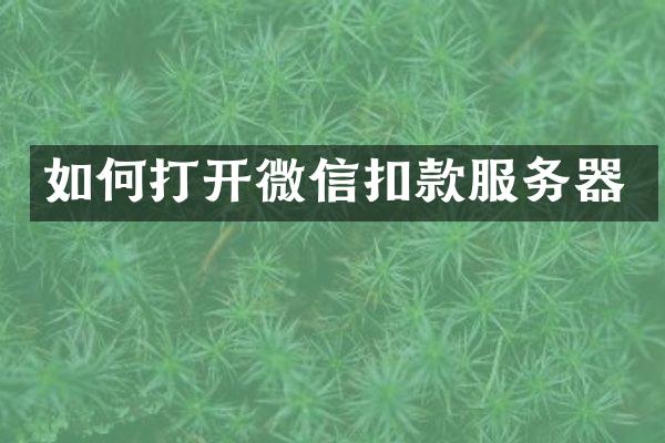 如何打开微信扣款服务器
