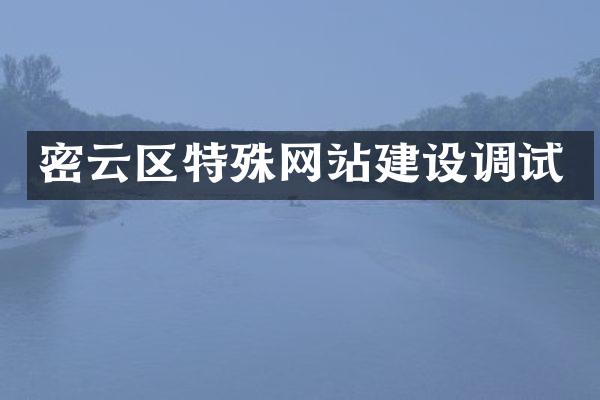 密云区特殊网站建设调试