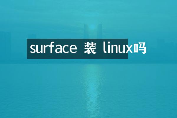 surface 装 linux吗