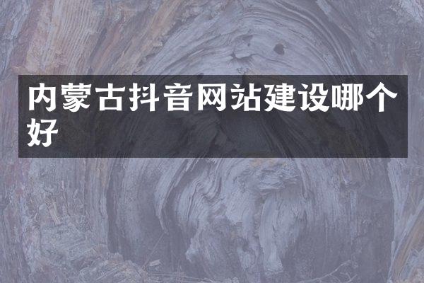 内蒙古抖音网站建设哪个好