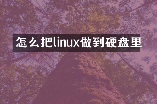 怎么把linux做到硬盘里