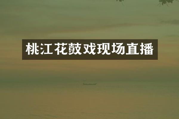 桃江花鼓戏现场直播