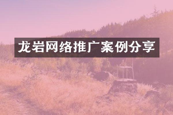 龙岩网络推广案例分享