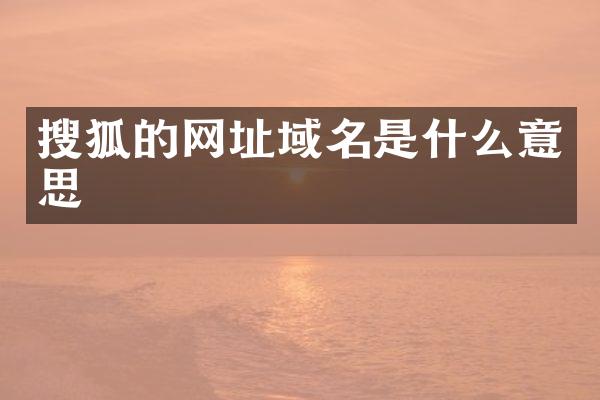 搜狐的网址域名是什么意思