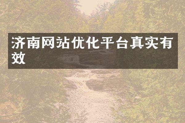 济南网站优化平台真实有效