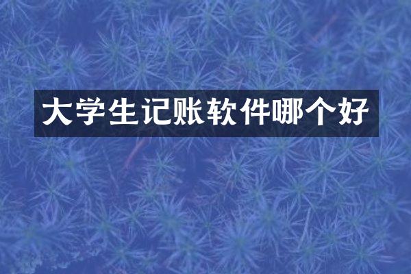 大学生记账软件哪个好